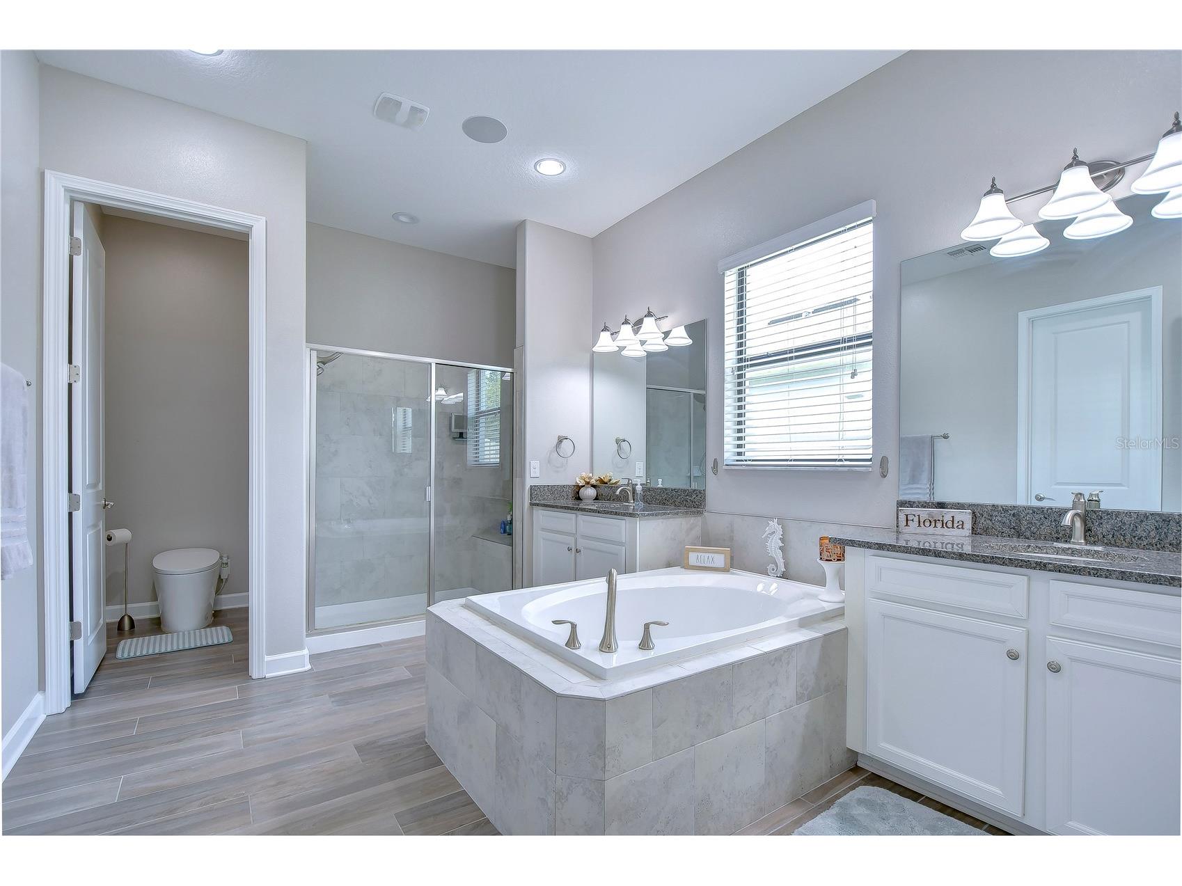 31470 Fairhill Drive Wesley Chapel FL 33543 TB8517311 image54