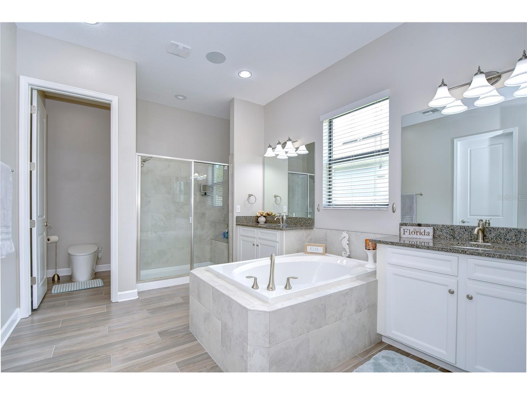 31470 Fairhill Drive Wesley Chapel FL 33543 TB8517311 image55