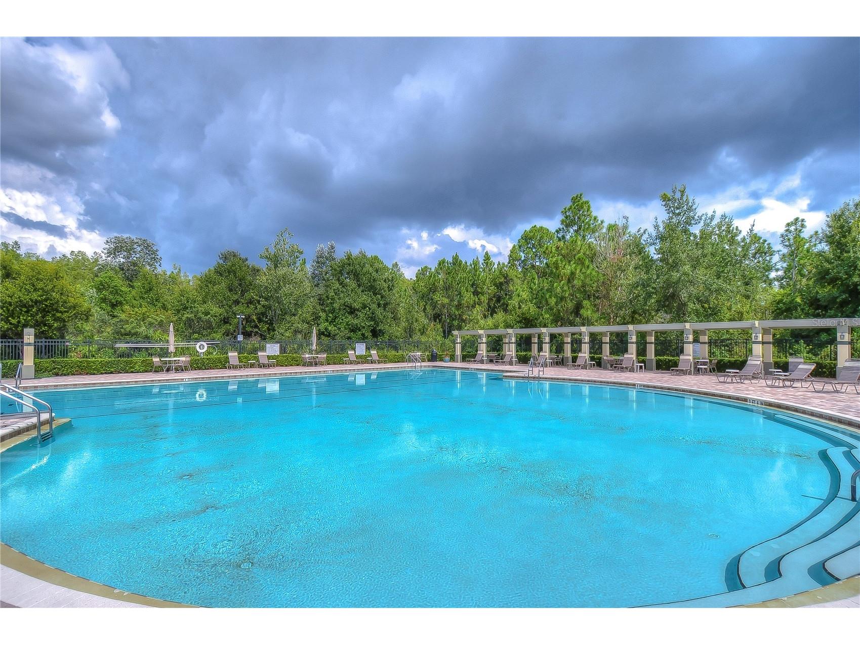 31470 Fairhill Drive Wesley Chapel FL 33543 TB8517311 image68