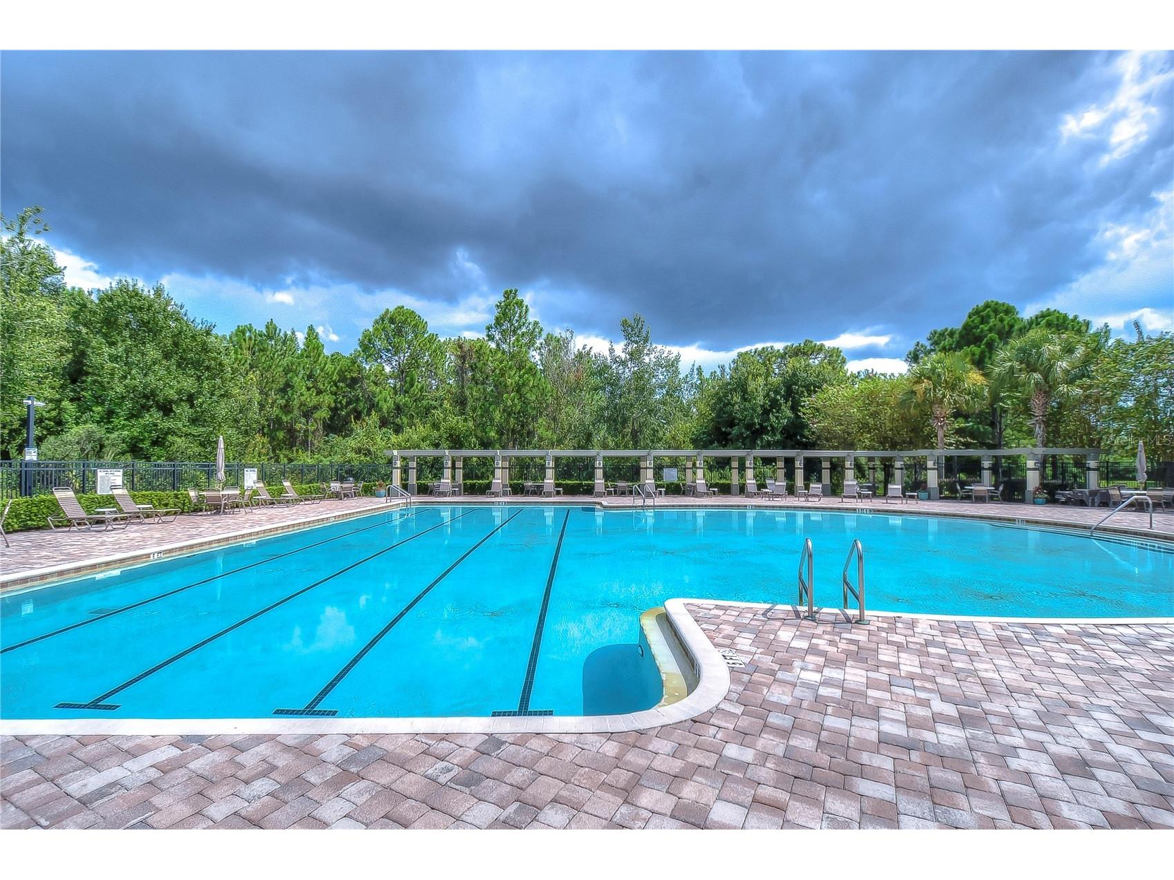 31470 Fairhill Drive Wesley Chapel FL 33543 TB8517311 image70
