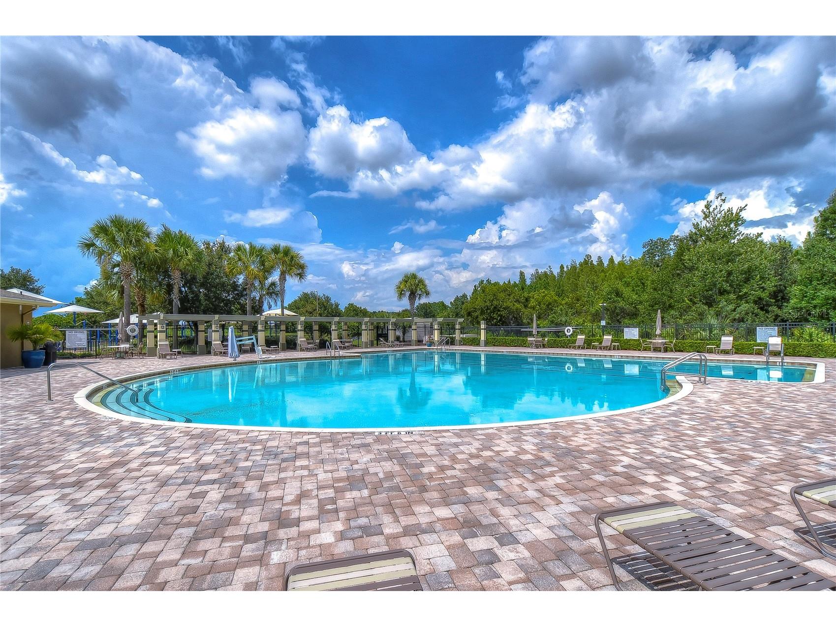 31470 Fairhill Drive Wesley Chapel FL 33543 TB8517311 image71