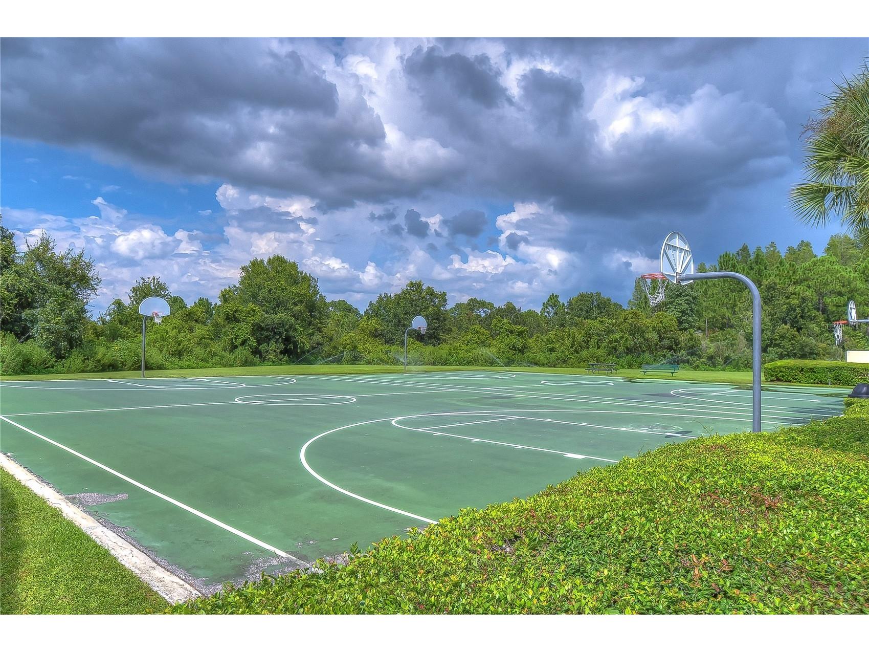 31470 Fairhill Drive Wesley Chapel FL 33543 TB8517311 image74