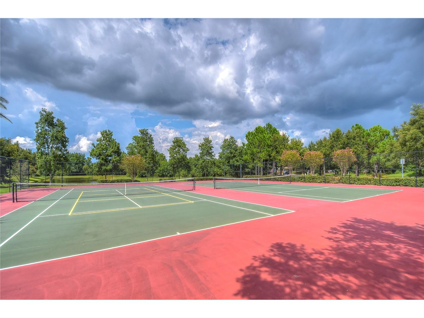 31470 Fairhill Drive Wesley Chapel FL 33543 TB8517311 image75