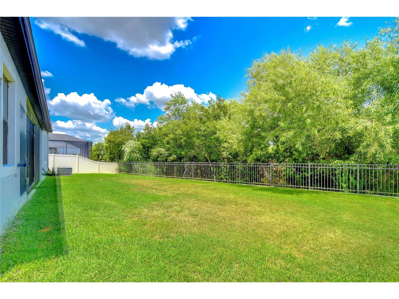 31470 Fairhill Drive Wesley Chapel FL 33543 TB8517311 image8
