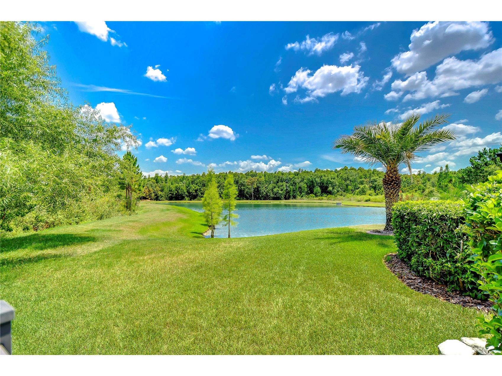 31470 Fairhill Drive Wesley Chapel FL 33543 TB8517311 image9