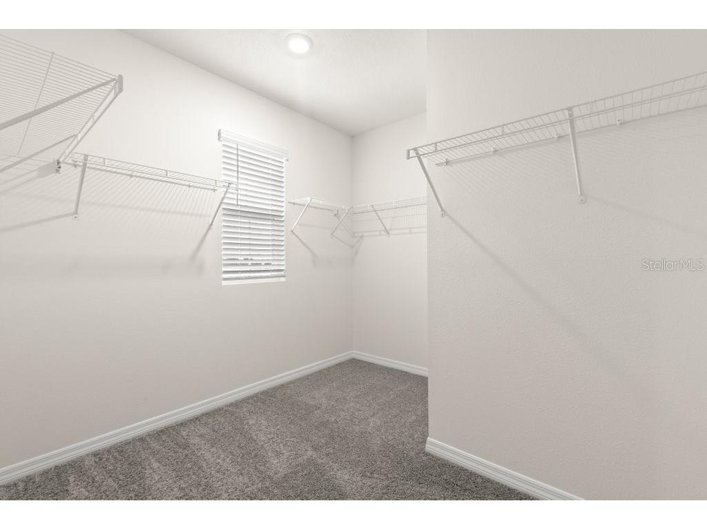 31470 Penny Surf Loop Wesley Chapel FL 33545 TB8503623 image17