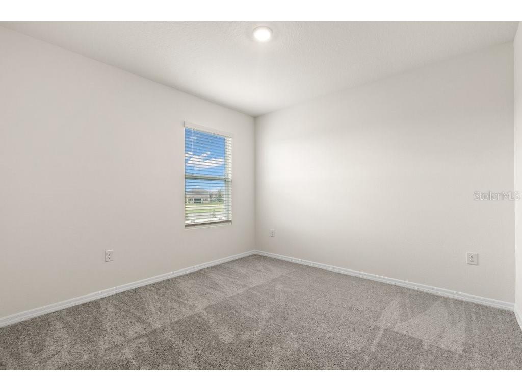 31470 Penny Surf Loop Wesley Chapel FL 33545 TB8503623 image21