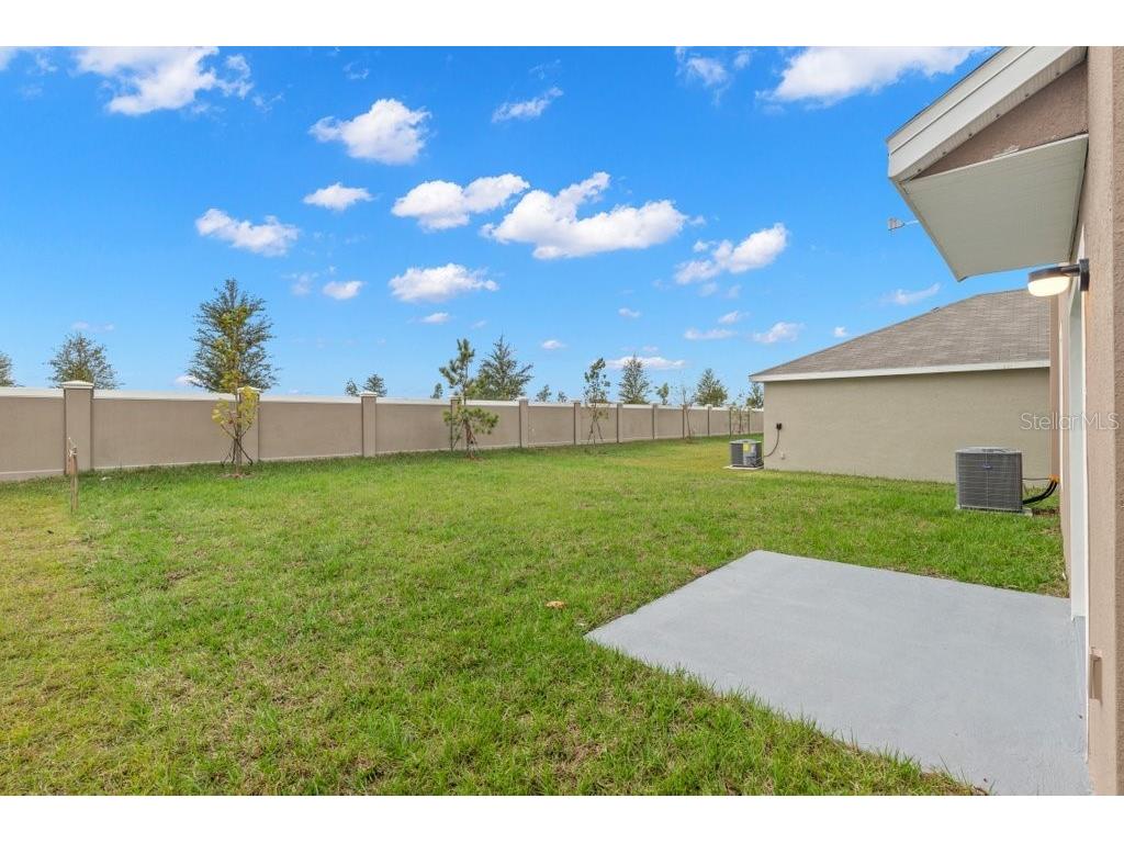 31470 Penny Surf Loop Wesley Chapel FL 33545 TB8503623 image24