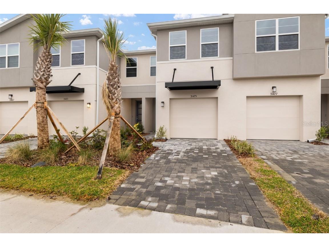 31471 Woodland Race Loop Wesley Chapel FL 33545 TB8329041 image1