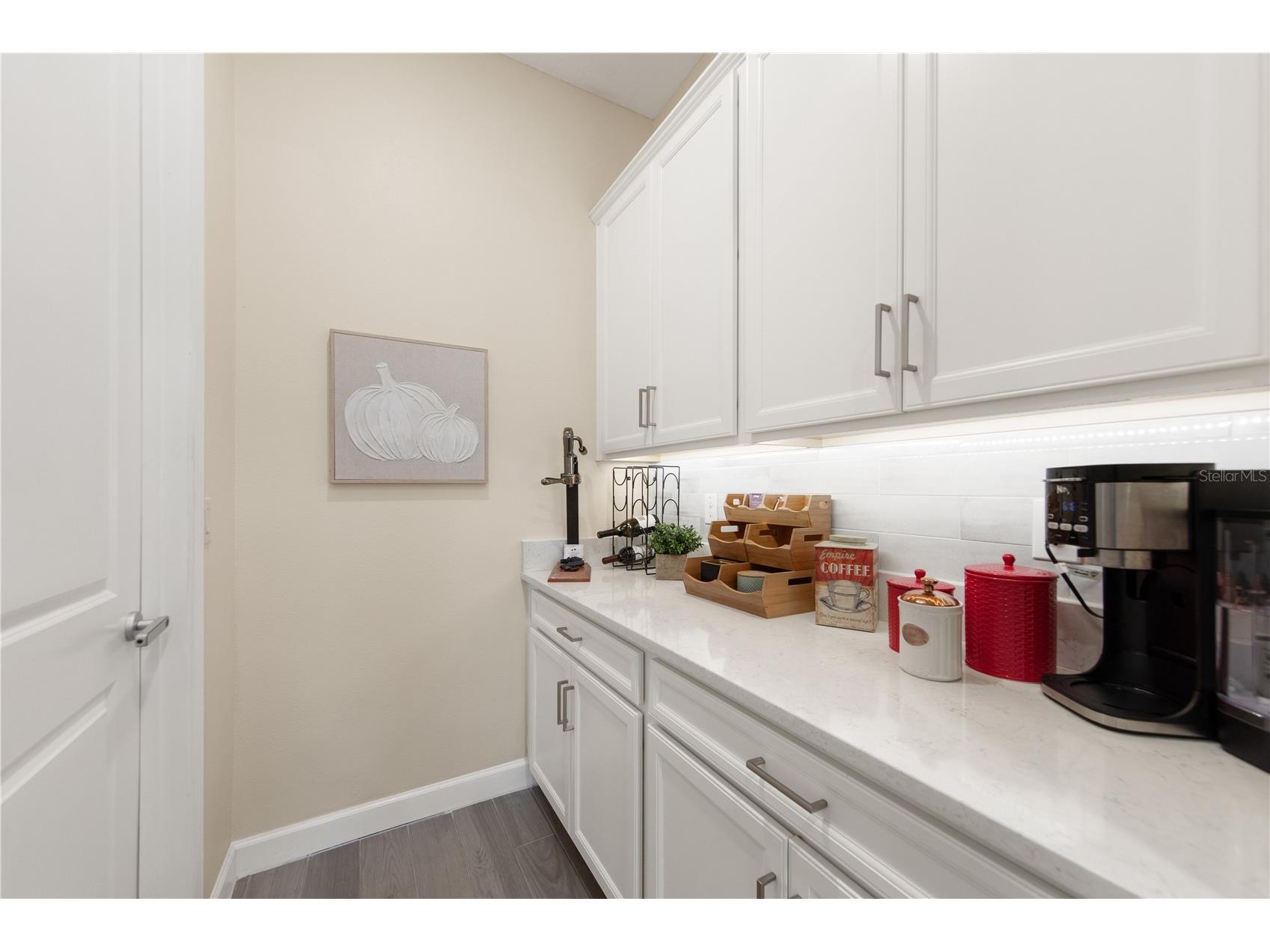 31476 Cabana Rye Avenue San Antonio FL 33576 TB8532666 image14