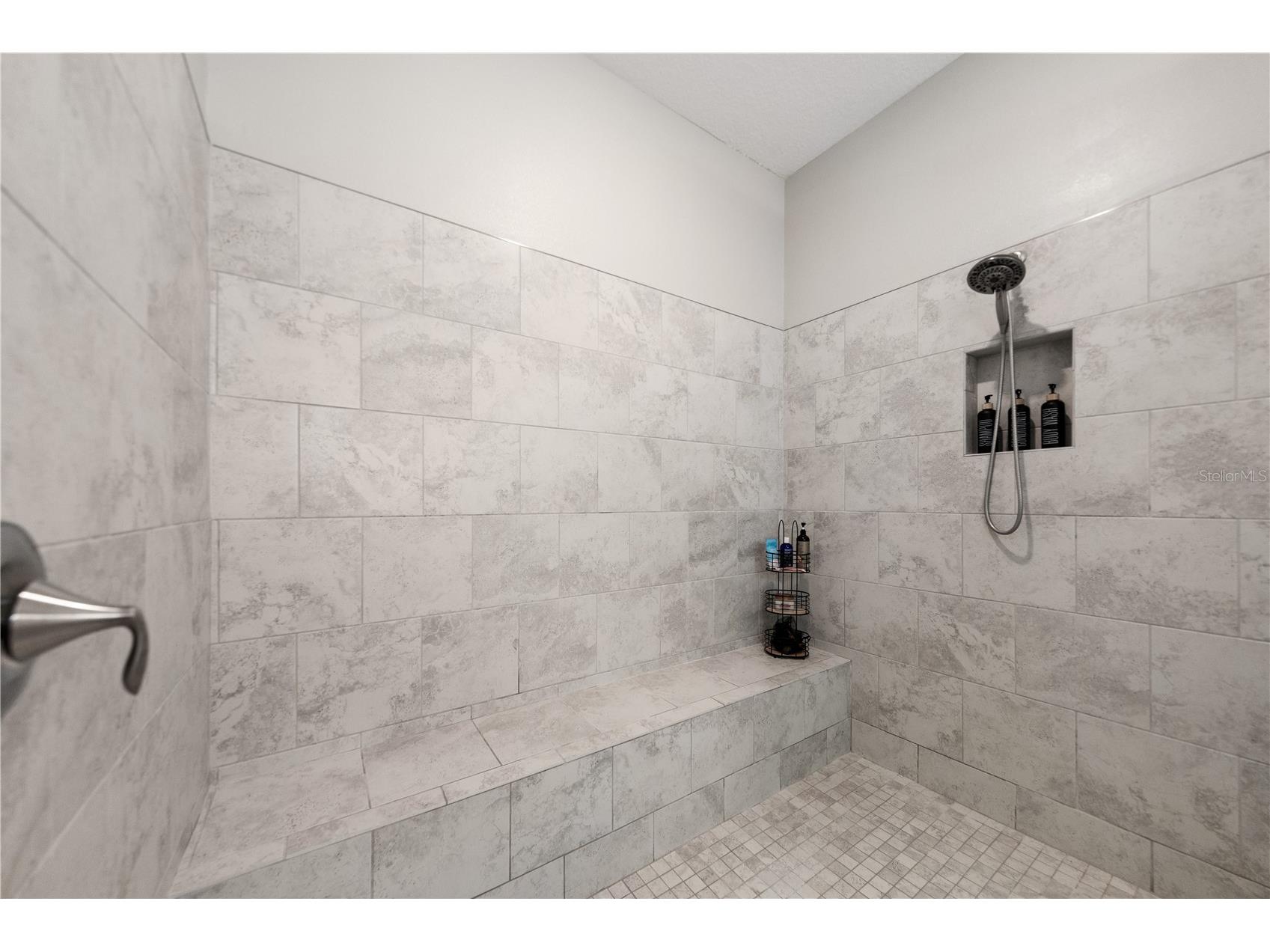 31476 Cabana Rye Avenue San Antonio FL 33576 TB8532666 image36