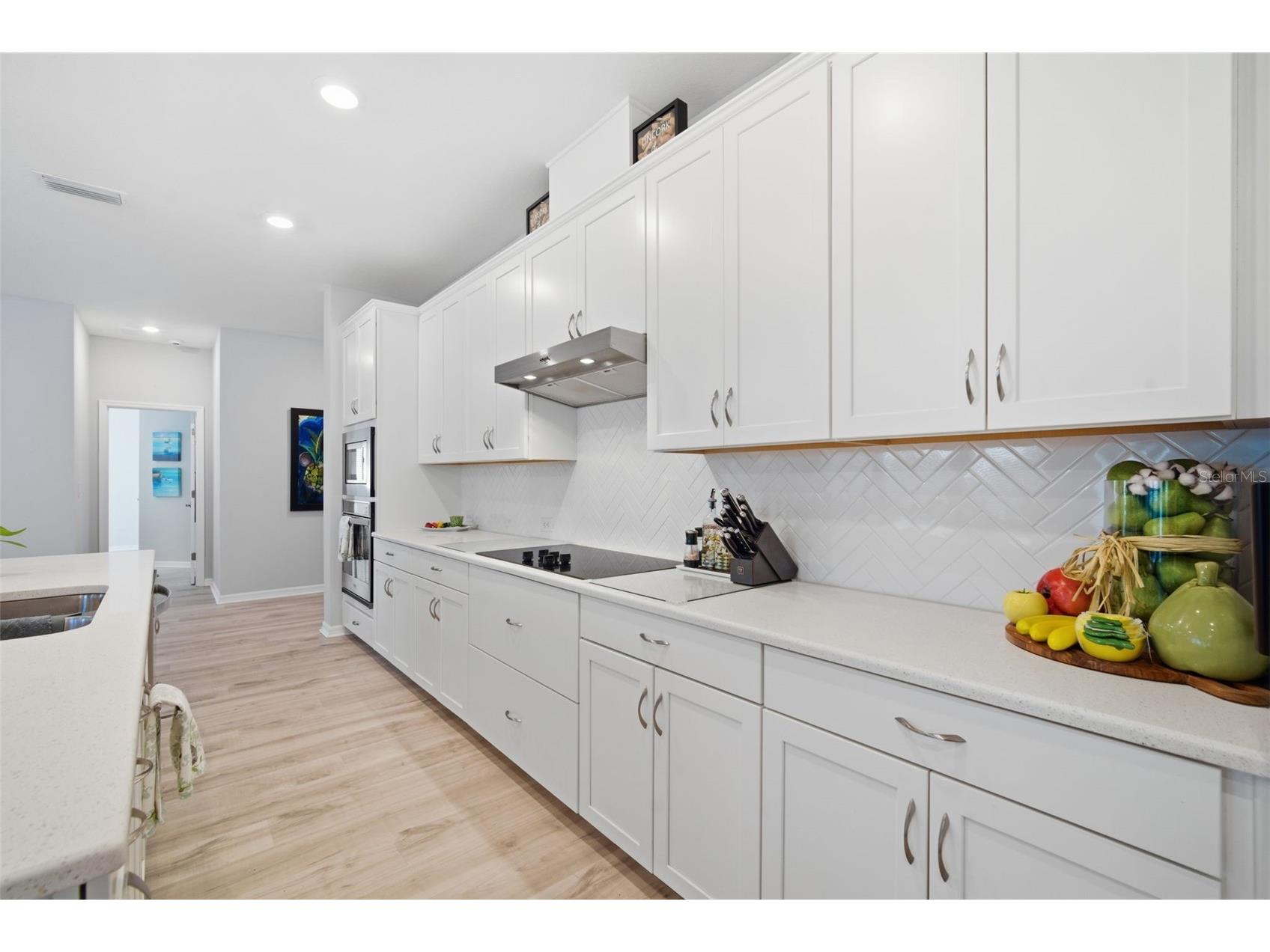 31477 Westbury Estates Avenue Wesley Chapel FL 33545 TB8484401 image17