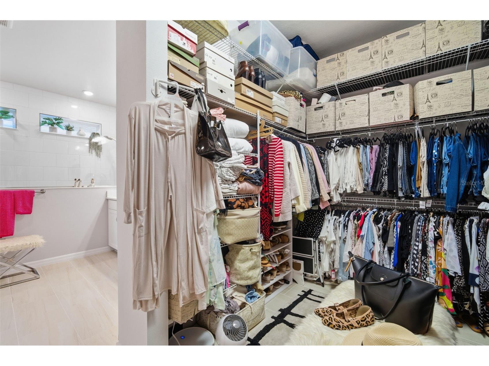 31477 Westbury Estates Avenue Wesley Chapel FL 33545 TB8484401 image45