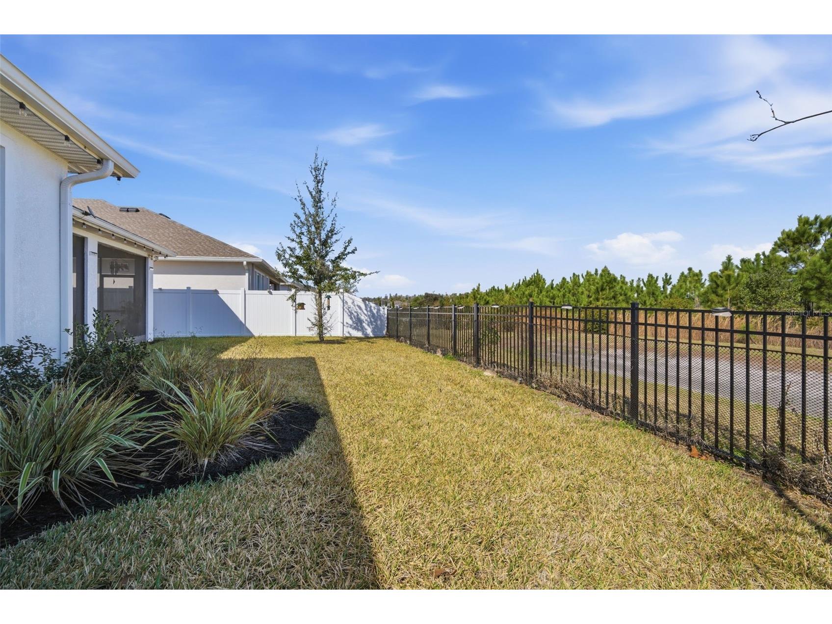 31477 Westbury Estates Avenue Wesley Chapel FL 33545 TB8484401 image51