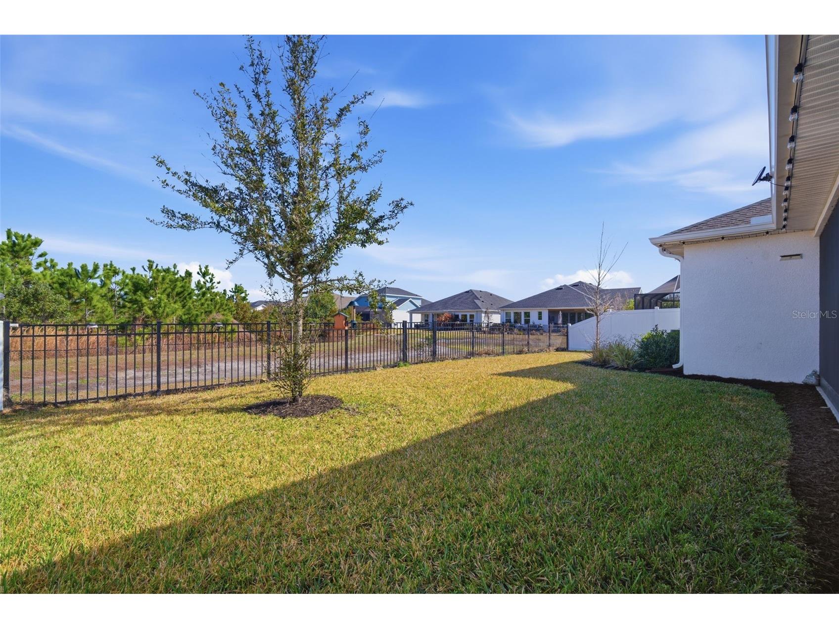 31477 Westbury Estates Avenue Wesley Chapel FL 33545 TB8484401 image54