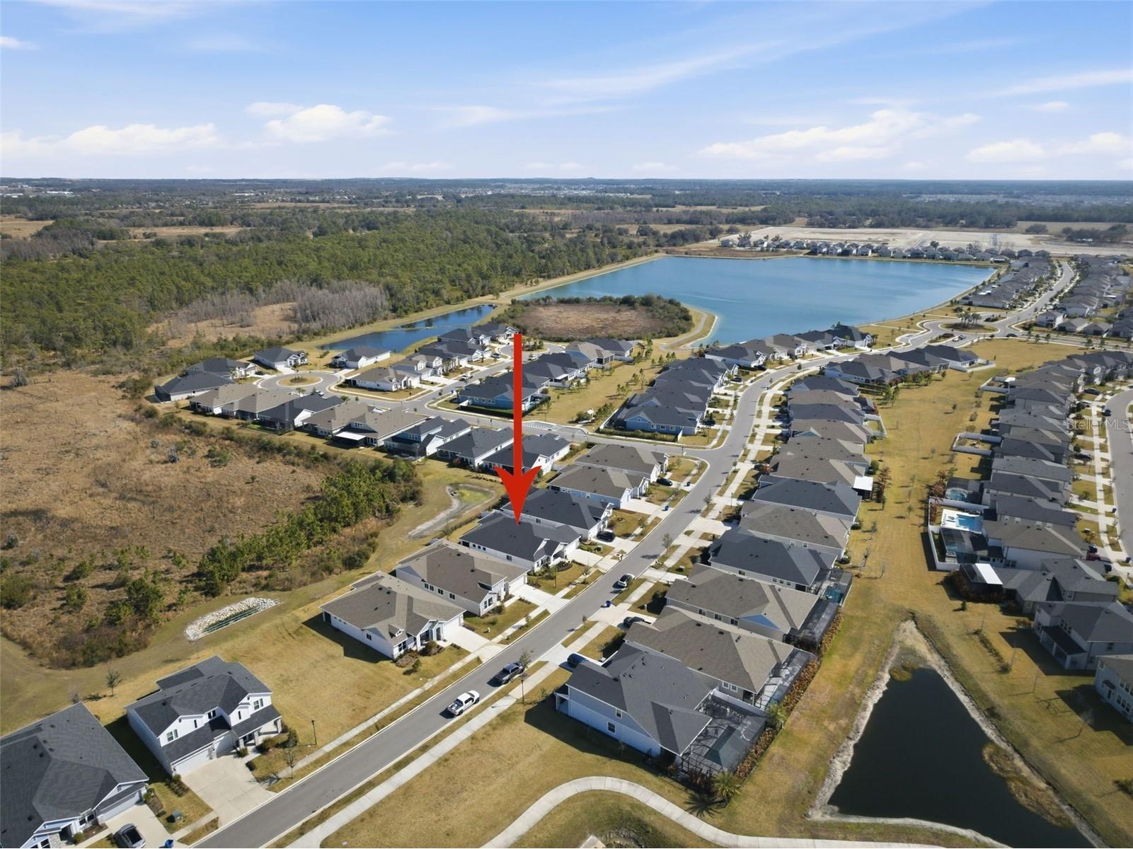 31477 Westbury Estates Avenue Wesley Chapel FL 33545 TB8484401 image55