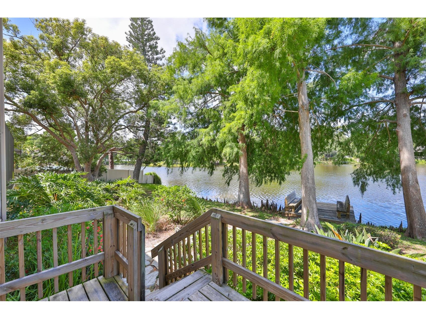 3148 Autumn Drive Palm Harbor FL 34683 TB8519833 image37