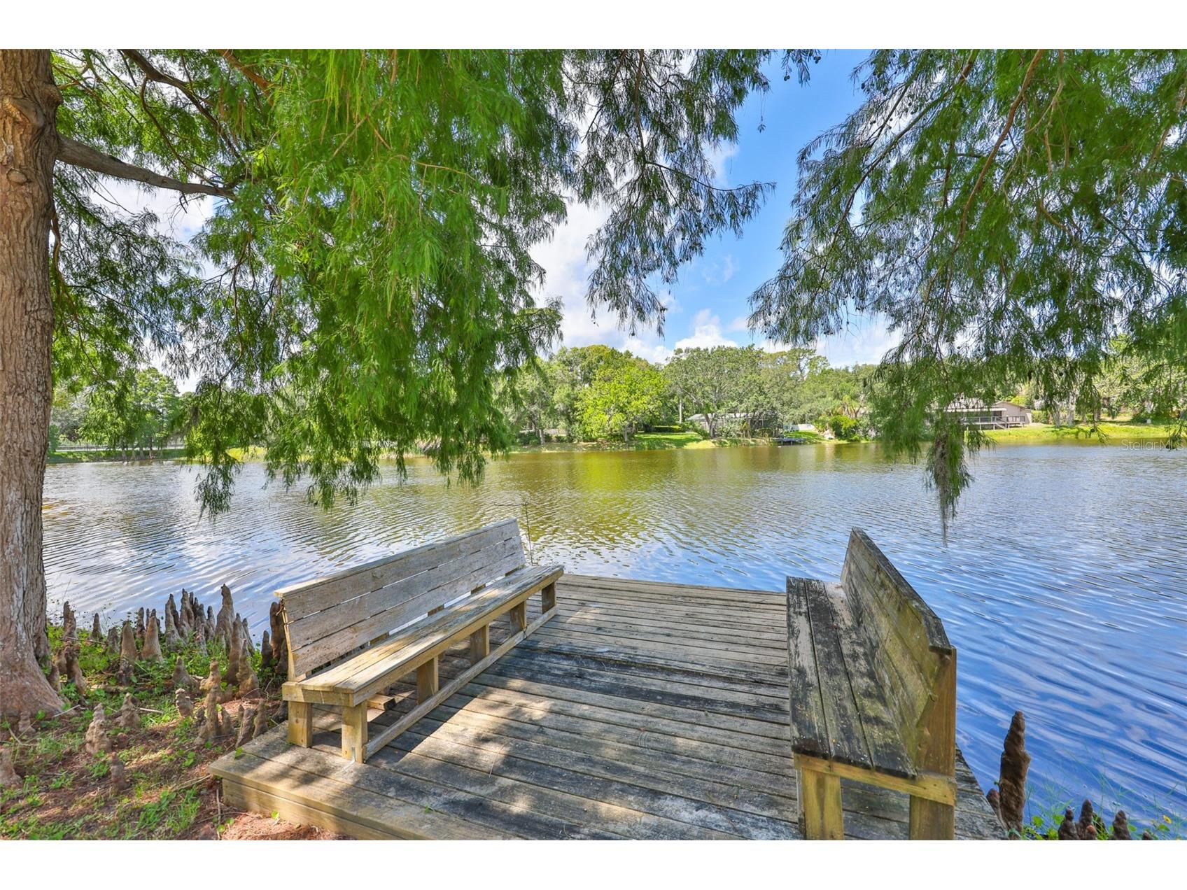 3148 Autumn Drive Palm Harbor FL 34683 TB8519833 image45