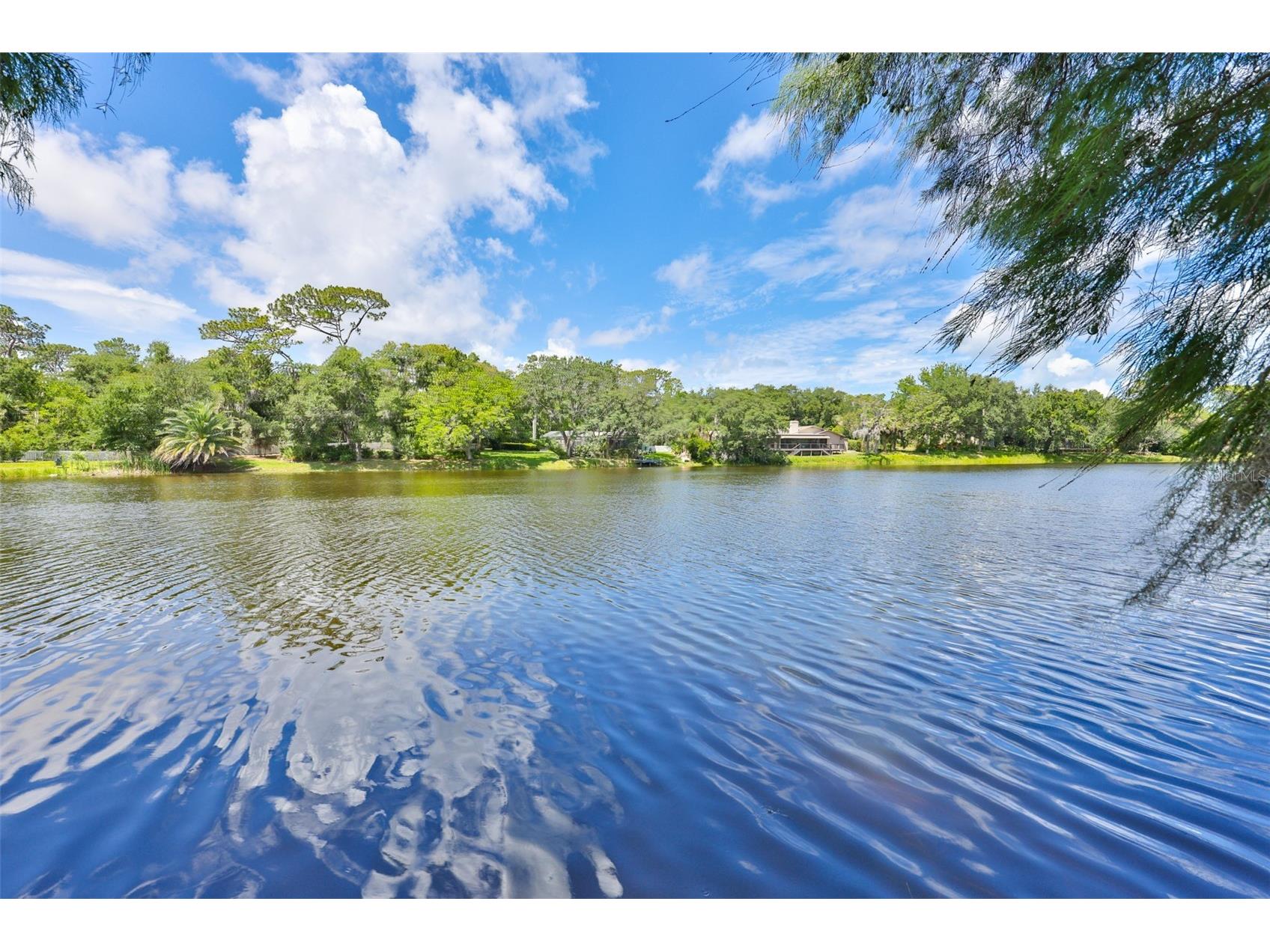 3148 Autumn Drive Palm Harbor FL 34683 TB8519833 image46