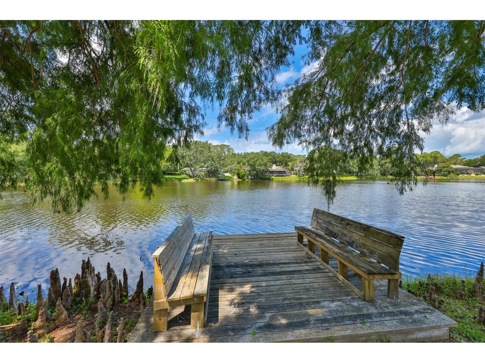 3148 Autumn Drive Palm Harbor FL 34683 TB8519833 image47