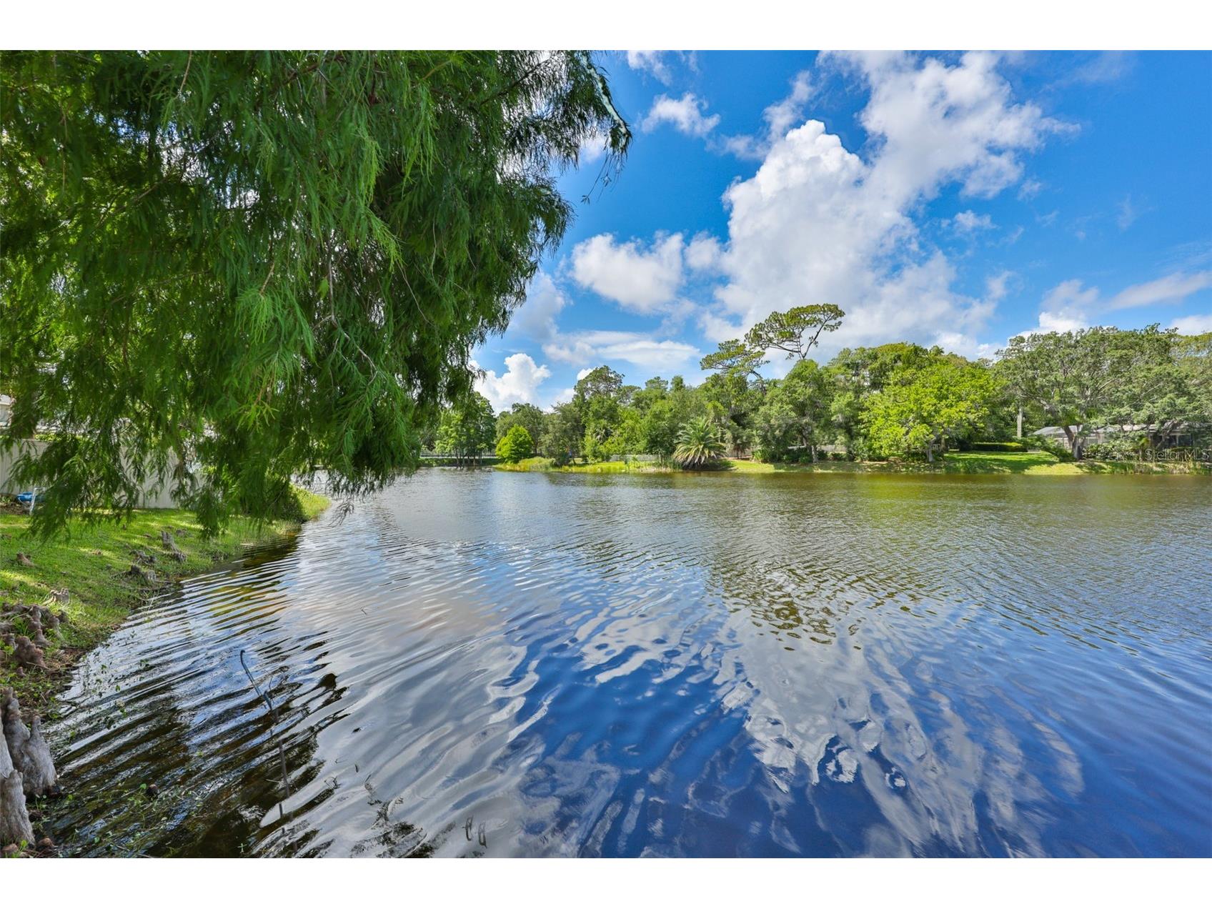 3148 Autumn Drive Palm Harbor FL 34683 TB8519833 image48