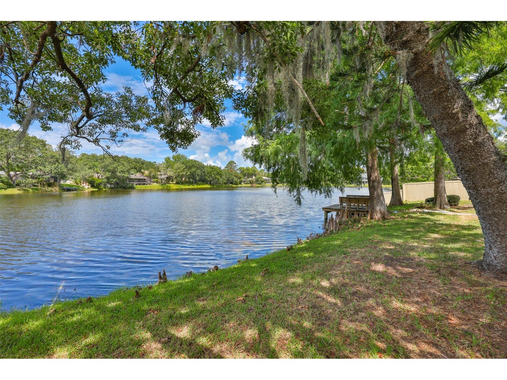 3148 Autumn Drive Palm Harbor FL 34683 TB8519833 image49