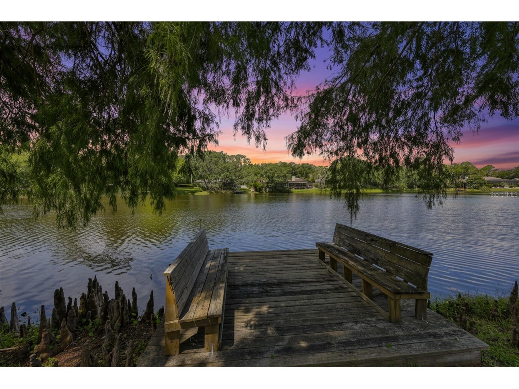 3148 Autumn Drive Palm Harbor FL 34683 TB8519833 image50