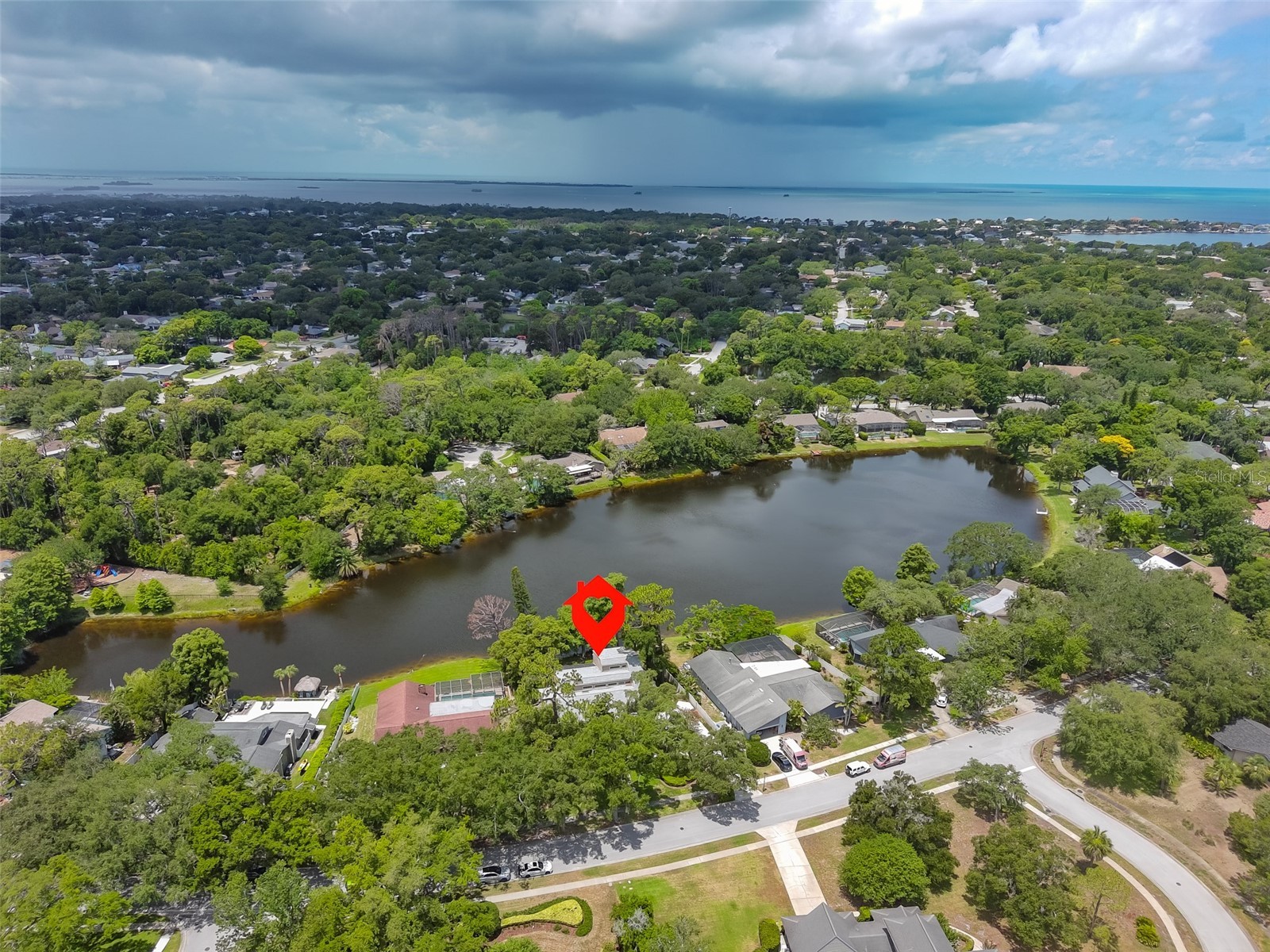 3148 Autumn Drive Palm Harbor FL 34683 TB8519833 image57