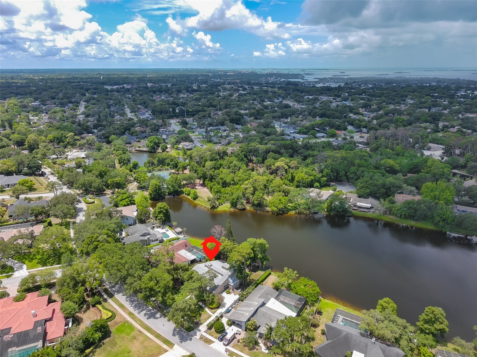 3148 Autumn Drive Palm Harbor FL 34683 TB8519833 image58