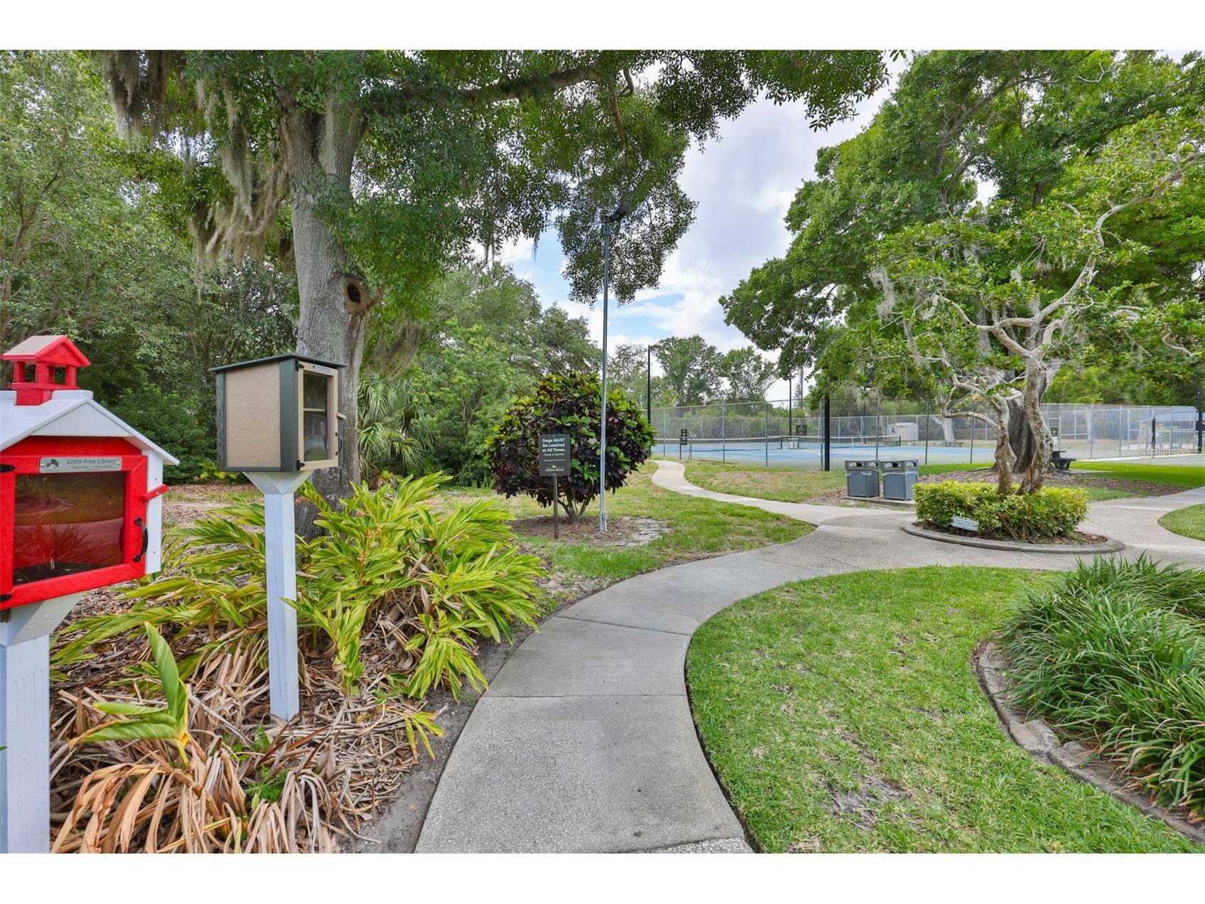 3148 Autumn Drive Palm Harbor FL 34683 TB8519833 image59