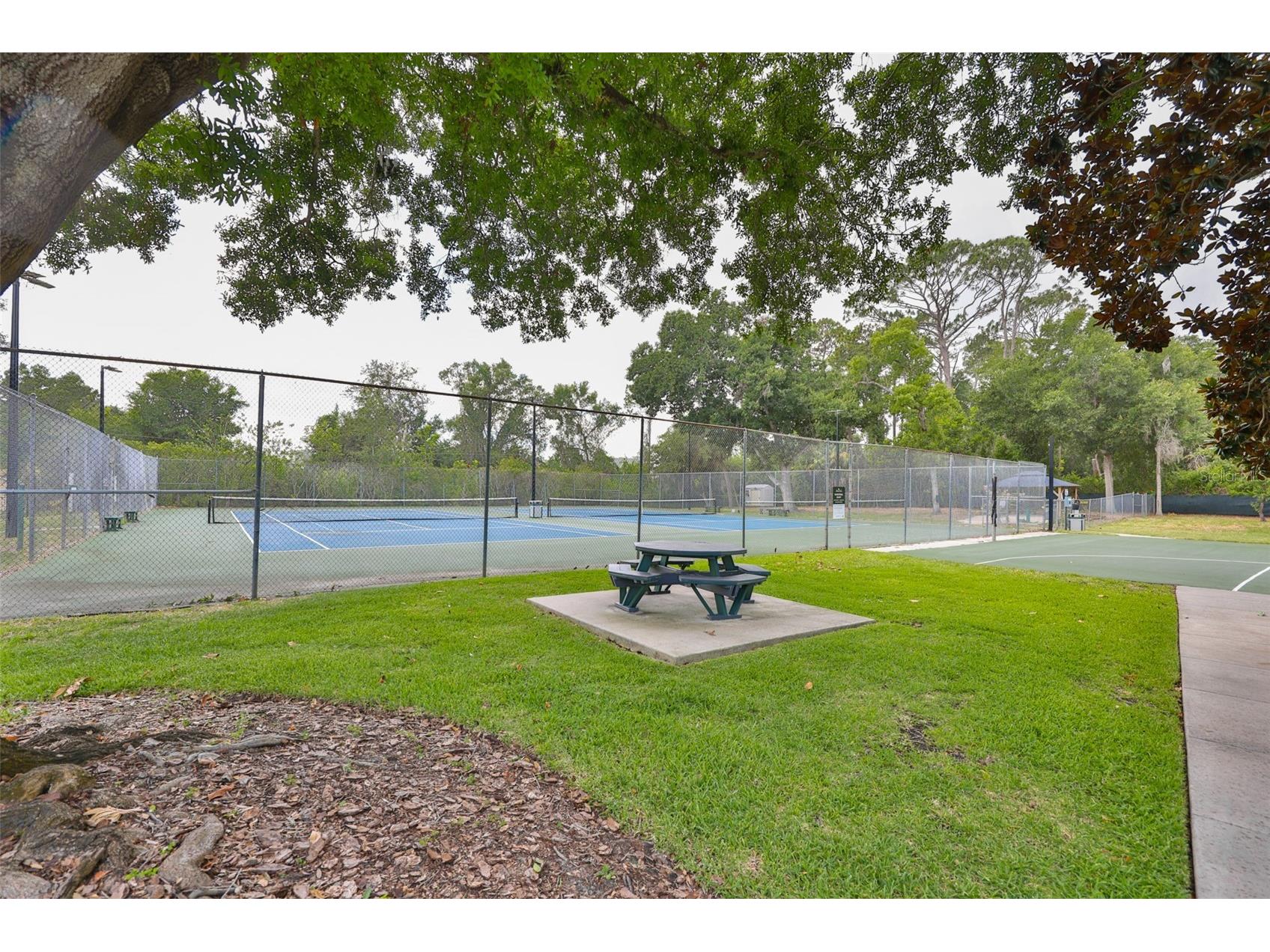 3148 Autumn Drive Palm Harbor FL 34683 TB8519833 image61