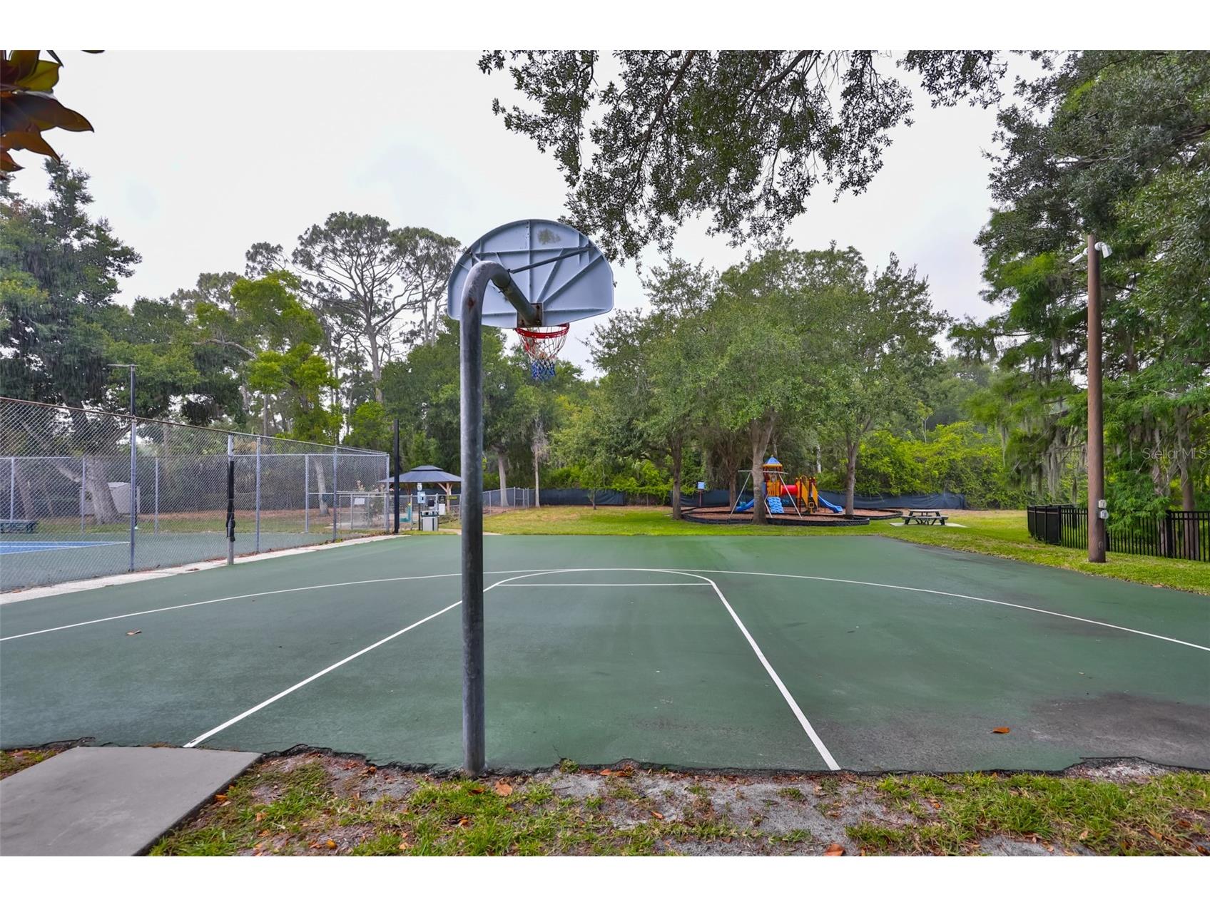 3148 Autumn Drive Palm Harbor FL 34683 TB8519833 image62