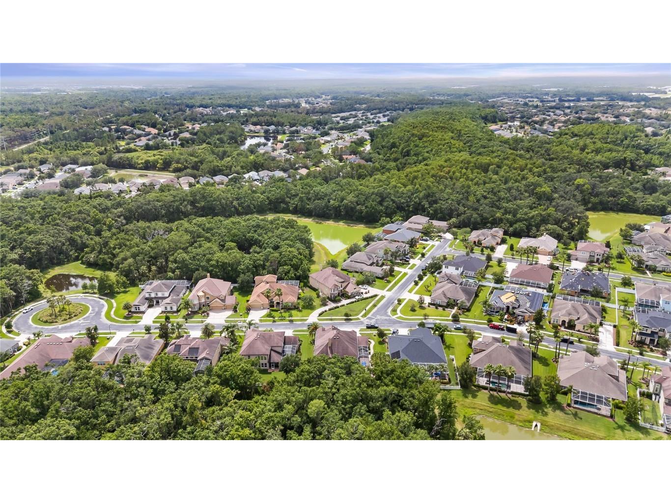 3148 Watermark Drive Wesley Chapel FL 33544 TB8394069 image55