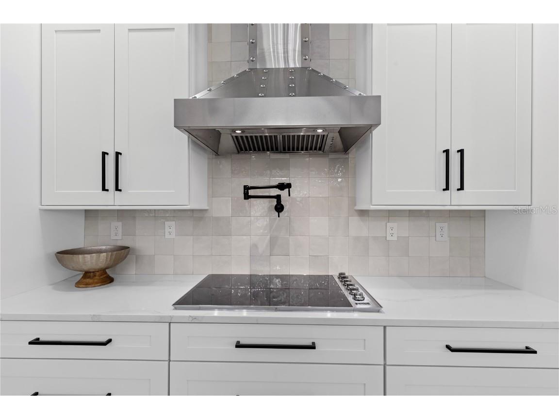 3148 Watermark Drive Wesley Chapel FL 33544 TB8394069 image9