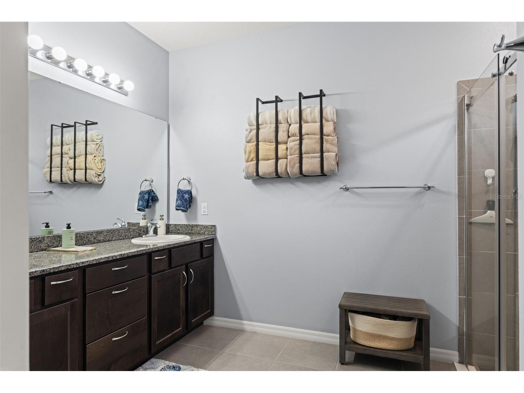 31486 Tansy Bend Wesley Chapel FL 33545 TB8495086 image31