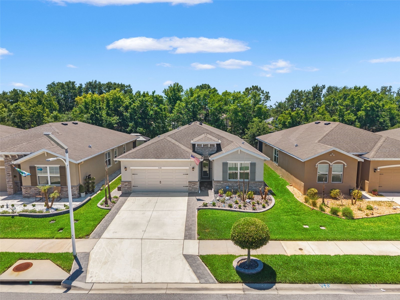 31486 Tansy Bend Wesley Chapel FL 33545 TB8495086 image45