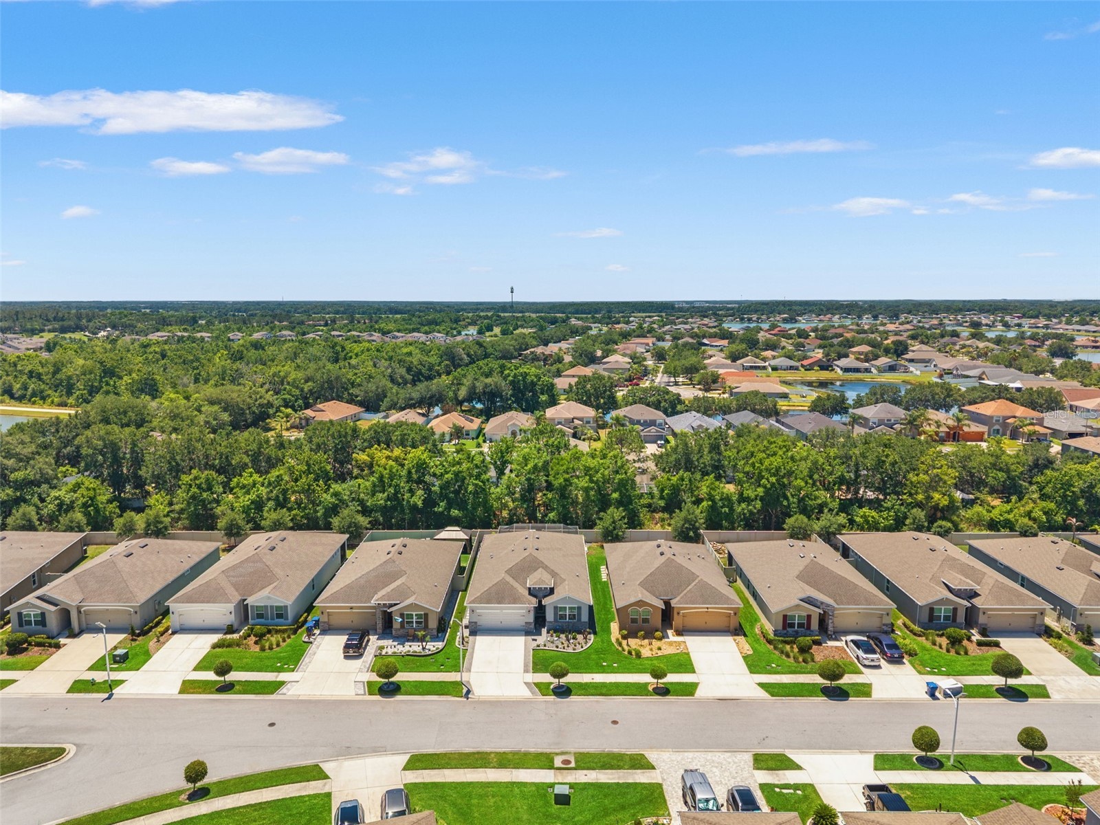 31486 Tansy Bend Wesley Chapel FL 33545 TB8495086 image46
