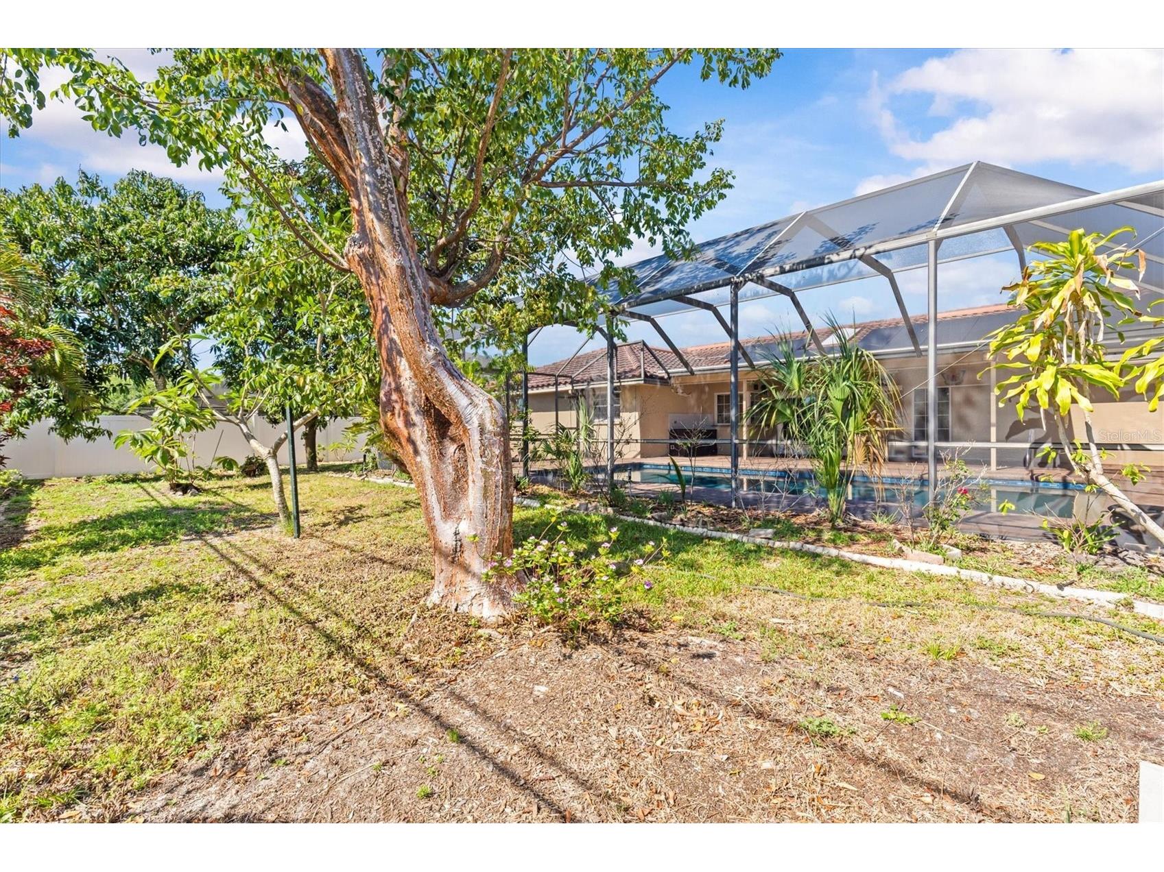3149 Carlos Drive Dunedin FL 34698 TB8500147 image44