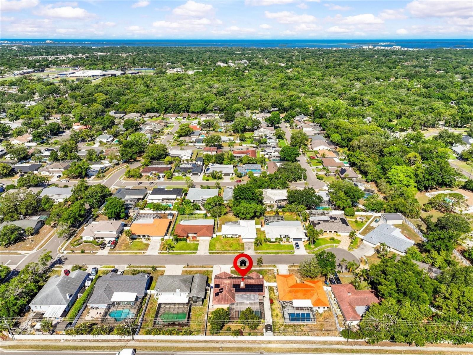 3149 Carlos Drive Dunedin FL 34698 TB8500147 image48