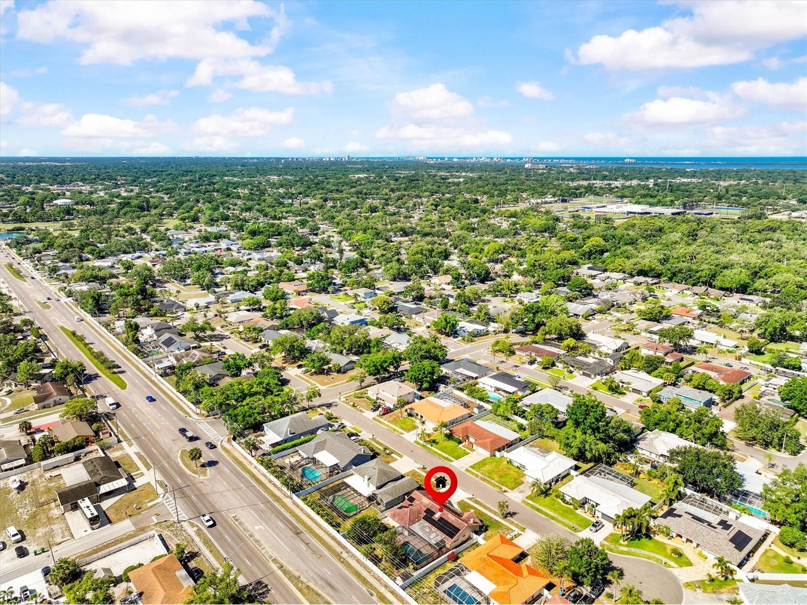 3149 Carlos Drive Dunedin FL 34698 TB8500147 image49