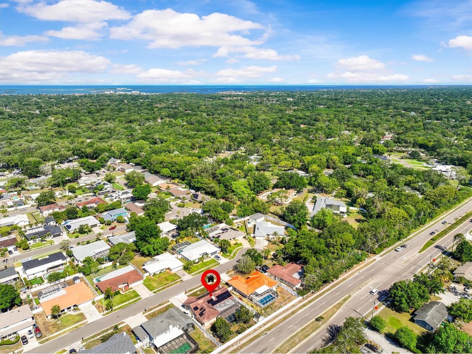 3149 Carlos Drive Dunedin FL 34698 TB8500147 image51