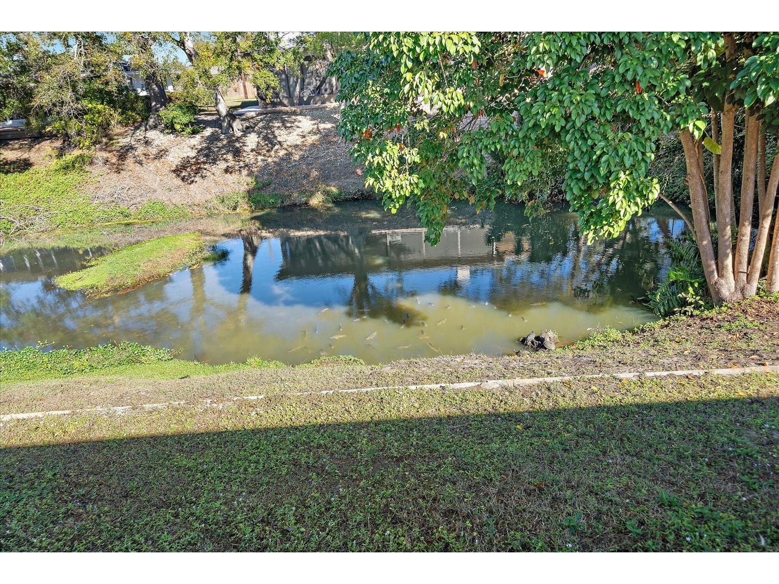 3149 Homasassa Road Sarasota FL 34239 A4677645 image48