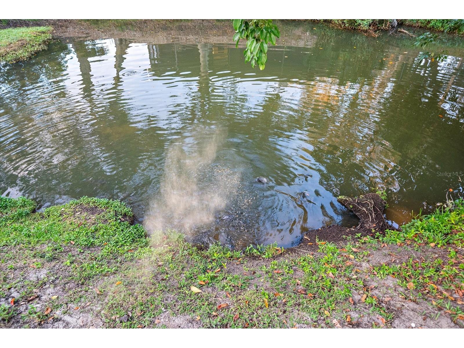 3149 Homasassa Road Sarasota FL 34239 A4677645 image49