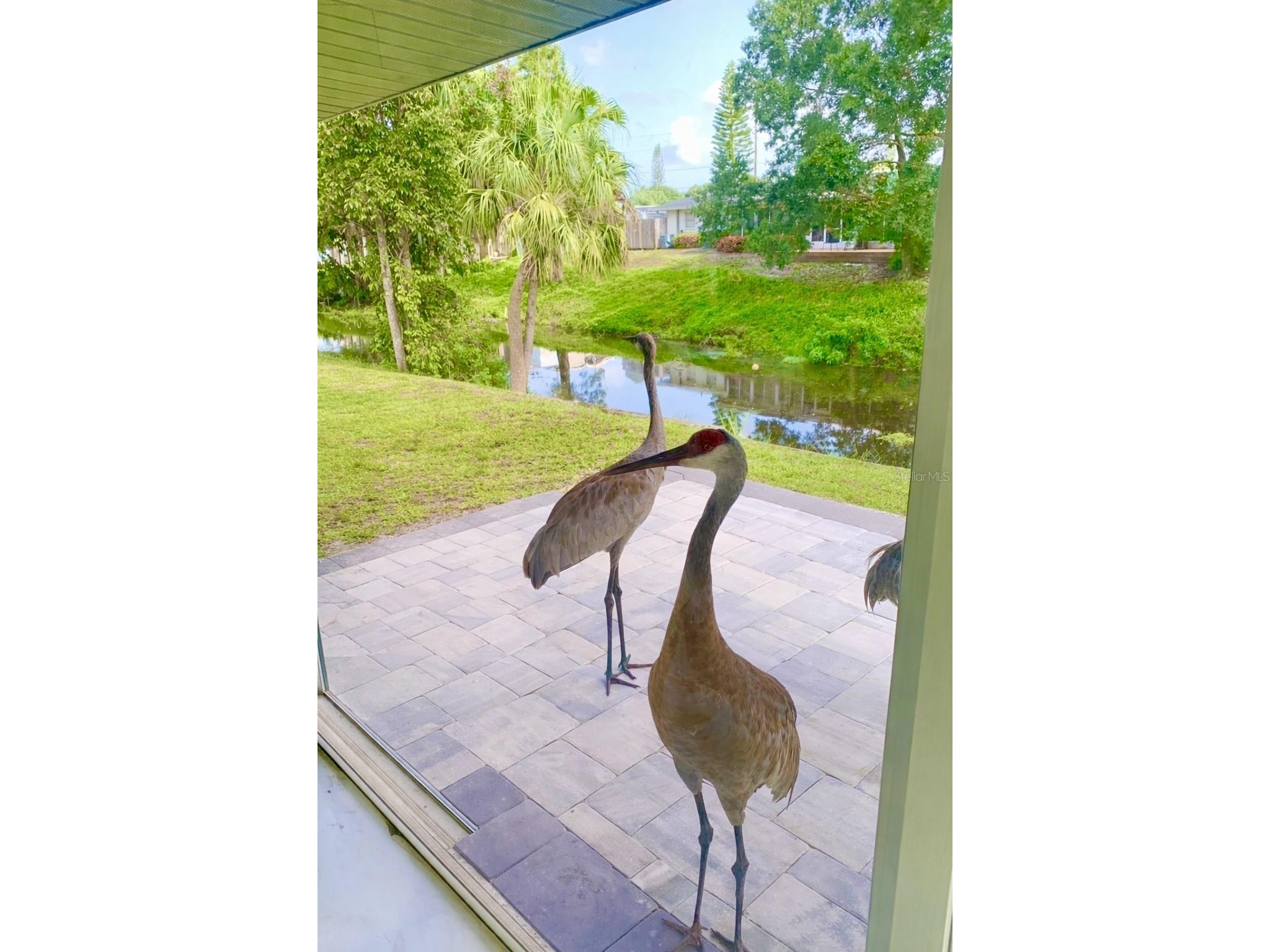 3149 Homasassa Road Sarasota FL 34239 A4677645 image51