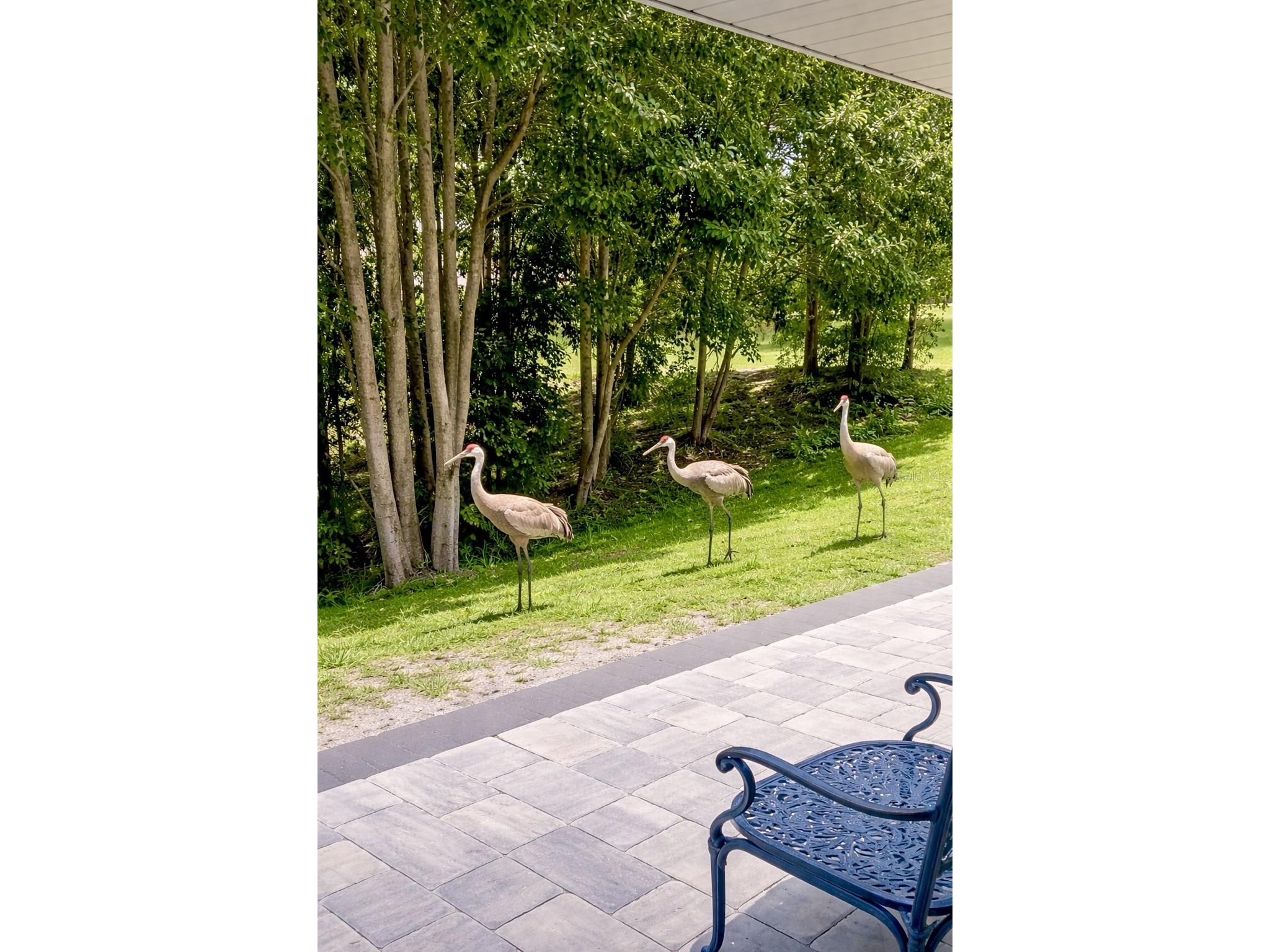 3149 Homasassa Road Sarasota FL 34239 A4677645 image52