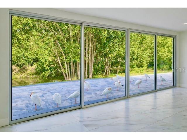 3149 Homasassa Road Sarasota FL 34239 A4677645 image54