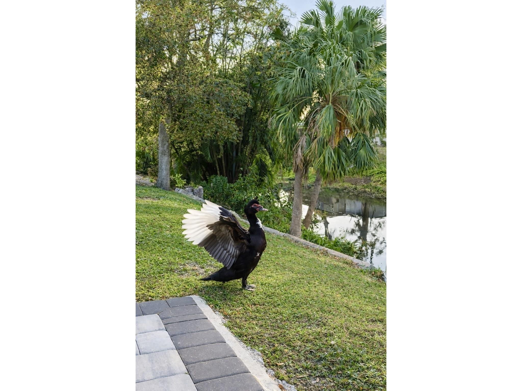 3149 Homasassa Road Sarasota FL 34239 A4677645 image57