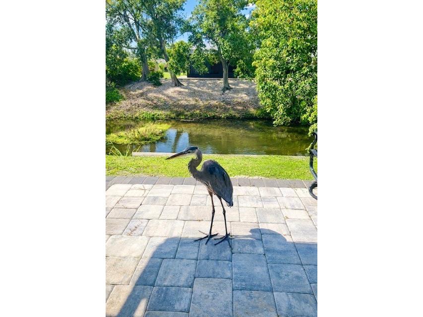 3149 Homasassa Road Sarasota FL 34239 A4677645 image58