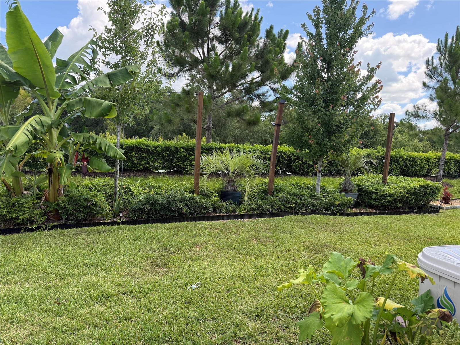 3149 Songbird Circle Saint Cloud FL 34773 O6414459 image33