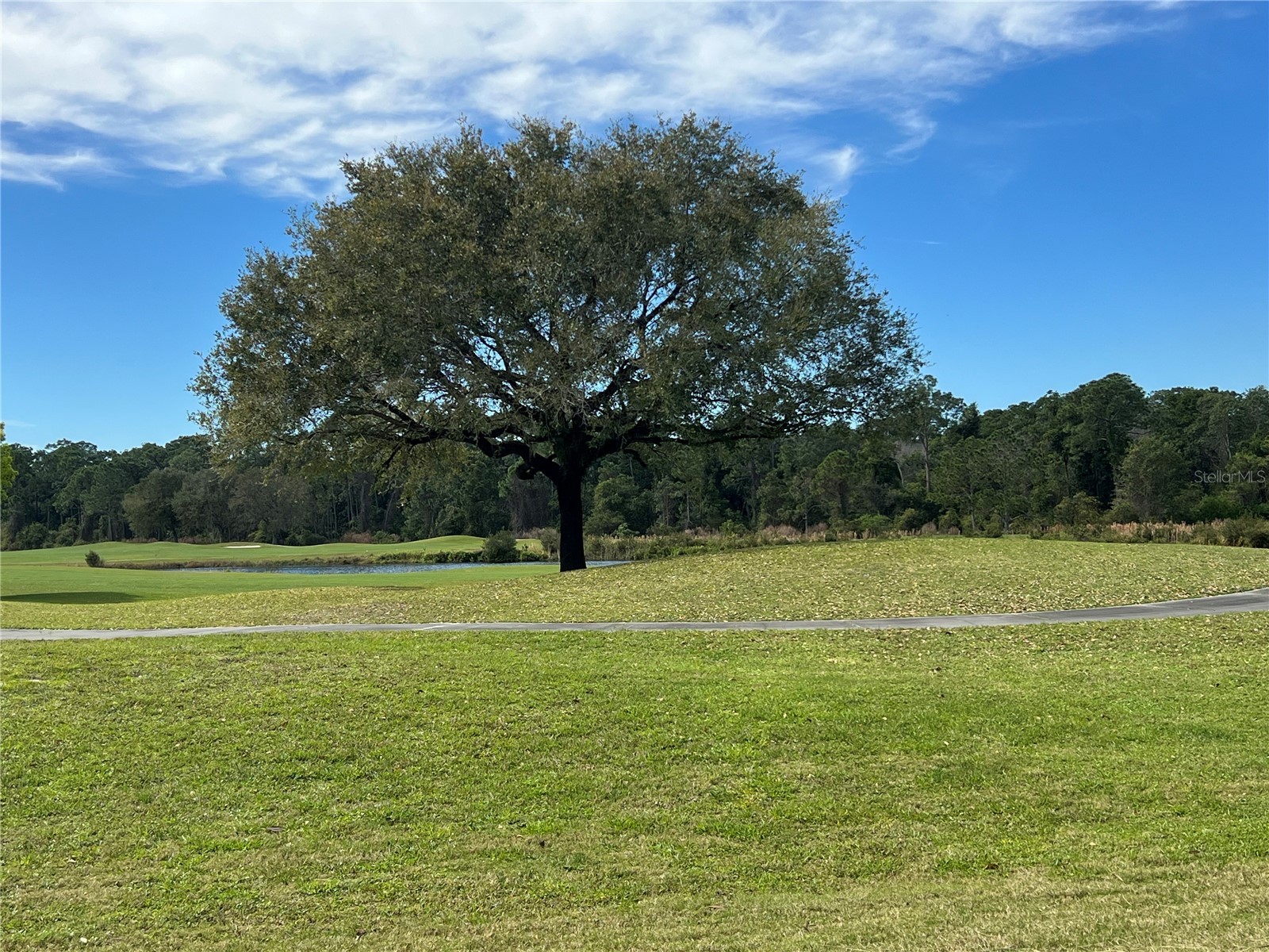 3149 Songbird Circle Saint Cloud FL 34773 O6414459 image63